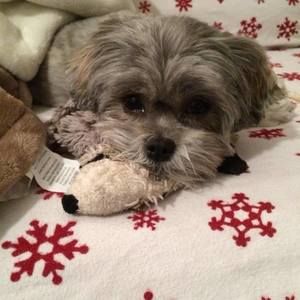 Meet your Posher, Dana